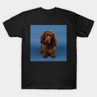 Sitting Sussex Spaniel T-Shirt